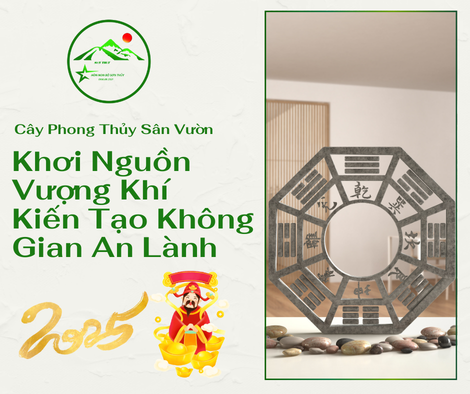 Cây Phong Thủy Sân Vườn: Khơi Nguồn Vượng Khí, Kiến Tạo Không Gian An Lành